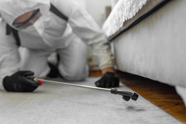 Professional Termite Control technician working in Page, AZ