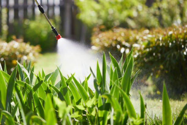 24/7 Emergency Termite Control experts in Page, AZ